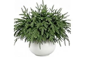 12 Pcs Christmas Norfolk Pine Branches 18" Artificial Norfolk Pine Stems Faux Christmas Greenery Pine Picks for Vase Fillers 