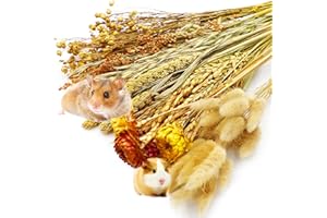 FBIRDY Herb Bedding Hamster Natural Hamster Bedding Edible Flowers Herbs Sprays for Edible Grain Habitat Enclosure Decor Hamster Chews for Dwarf Syrian Gerbils Mice Mouse Rat Forage