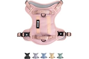 FEI AND EVE 2025 New Edition, Fei & Eve Classic Dog Harness - Quick-Release Buckles | 3-Point No-Pull Control | Heavy-Duty 900D Nylon | Dual Safety Handles | Breathable Mesh | Adjustable Fit | Medium,Pink