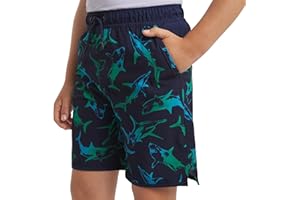 Lands' End Boys' Swimwear UPF 50 Comfort Liner Swim Trunks (S-XL)