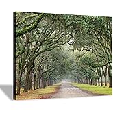 Hardy Gallery Oak Tree Canvas Wall Art: Green Landscape Artwork Forest Picture Painting Small Size for Bathroom (16'' x 12'' x 1 Panel)