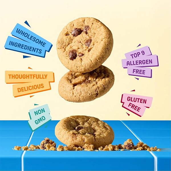 GLUTEN FREE PARTAKE SOFT BAKED CHOCOLATE CHIP COOKIES – VEGAN – FREE FROM THE TOP 9 ALLERGENS INCLUDING DAIRY, WHEAT, SOY, EGGS, & PEANUTS – NON GMO – SAFE SCHOOL & OFFICE SNACK (1 PACK, 5.5OZ BOX)