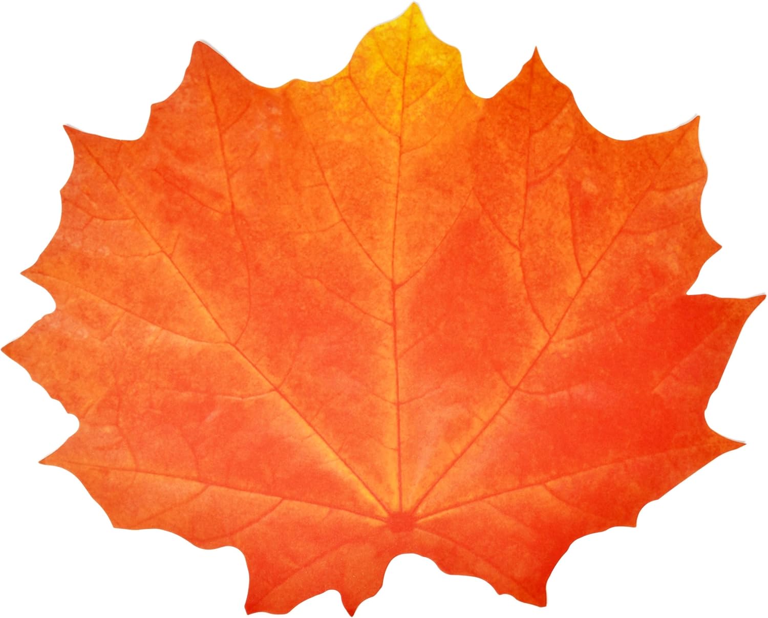 Paper Harvest Leaf Placemats 48 Pack Orange Color Thanksgiving Autumn Maple Leaves Shaped Chargers Place Mats 12" x 16" Fall Turkey Crafts Dinner Party Table Decorations by Gift Boutique: Kitchen & Dining
