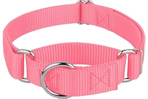 COUNTRY BROOK DESIGN Country Brook Petz - Martingale Dog Collar - Heavy-Duty Training Collar with No Buckle - Service Dog Collar for All Pups - 10+ Warm Colors (Pink, 1 Inch, Medium)