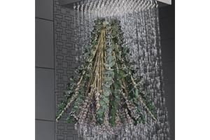 UKQRRTC 10/20 PCS Dried Preserved Eucalyptus Stems, 16.5" Hanging Natural Fresh Eucalyptus Plant with Lavender Flowers for Sh