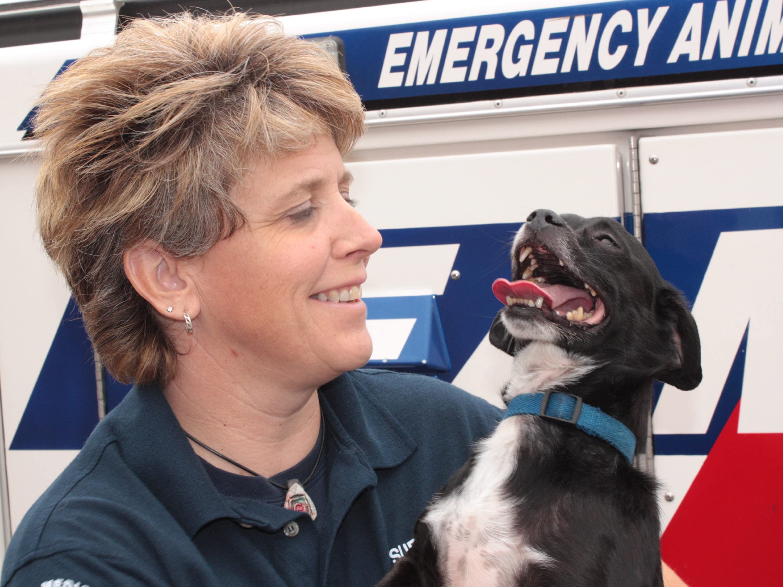 Watch Animal Cops Phoenix Season 4 Prime Video