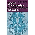 Clinical Neuropsychology: A Pocket Handbook for Assessment
