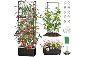 Self Watering Tomato Planter with Trellis, Rectangular Tomato Cages Trellis for Raised Garden Bed, Planters Box for Garden Po