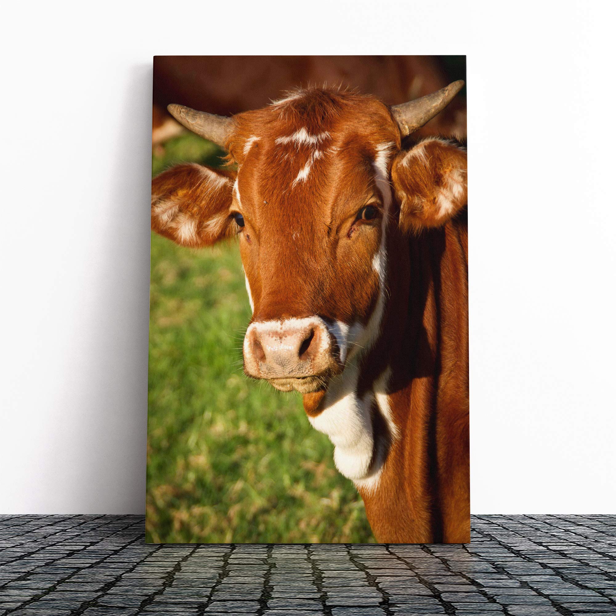 Big Box Art Canvas Print Wall Art Cow in The Field (3) | Mounted and Stretched Box Frame Picture | Home Decor for Kitchen, Living, Dining Room, Bedroom, Hallway, Multi-Colour, 20x14 Inch