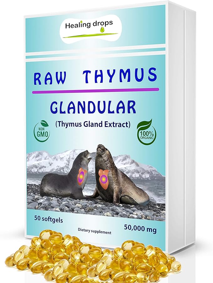 What Does Glandular Support Mean at Jon Foos blog