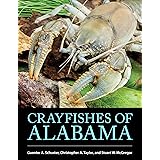Crayfishes of Alabama