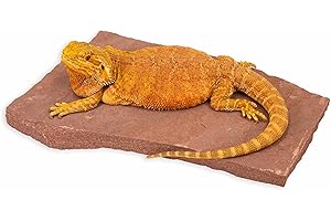 CAROLINACUSTOMCAGES Natural Habitat Basking Rocks for Reptiles, Wyoming Rose, One Large Size, Carolina Custom Cages