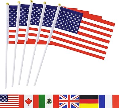 Amazon Com Tsmd Usa Stick Flag 50 Pack Hand Held Small American