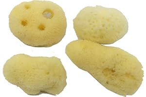 Awesome Aquatic Natural Hermit Crab Sponges 4 Pack Natural Sea Sponge Maintains Providing Humidity Helps with Drinking Water Safety Provides Minerals and Nutrients(Regular 4 pk)