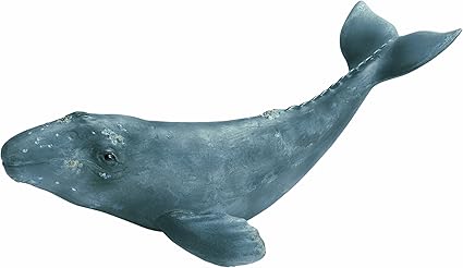 schleich whale