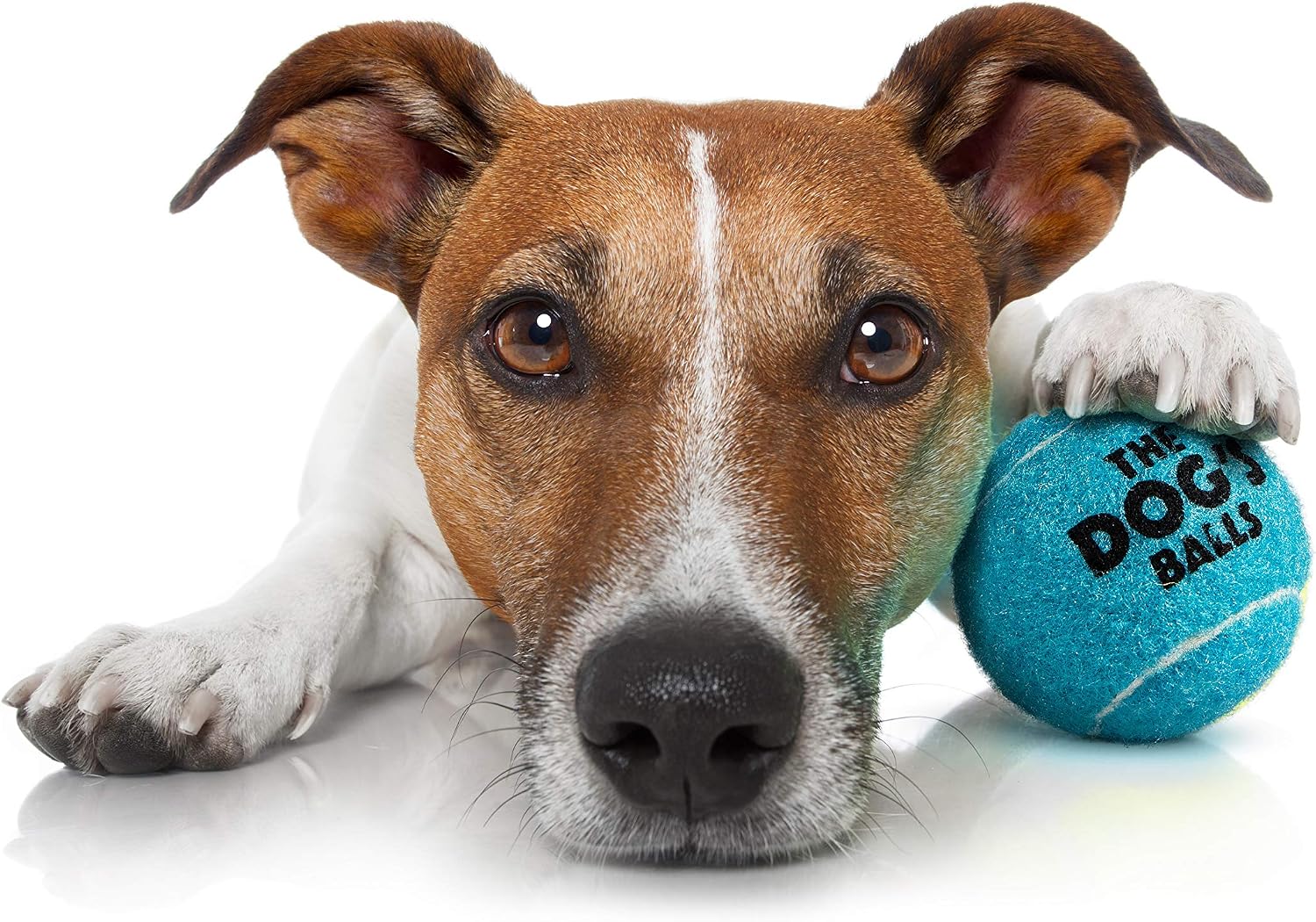 The Dog's Balls - Dog Tennis Balls, Blue, Small, 6‑Pack, 6 Small Tennis Balls - Image 4
