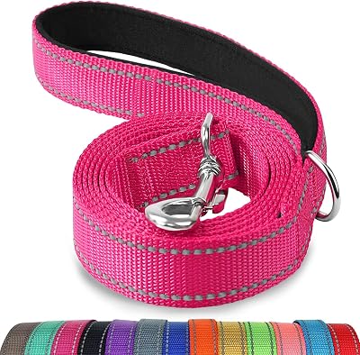 Joytale Double-Sided Reflective Dog Leash 6FT 5FT 4FT Padded Handle Hotpink
