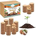 Amazon.com : Legigo 50 Pcs 30mm Organic Coco Coir Pellets for Plants ...