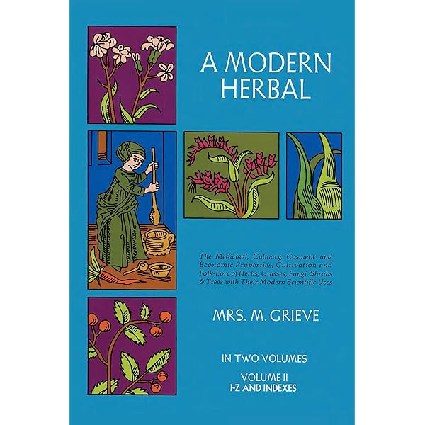 最終値下げ　A Modern Herbal 貴重なハーブの洋書 最終値下げ A Modern Herbal 貴重なハーブの洋書