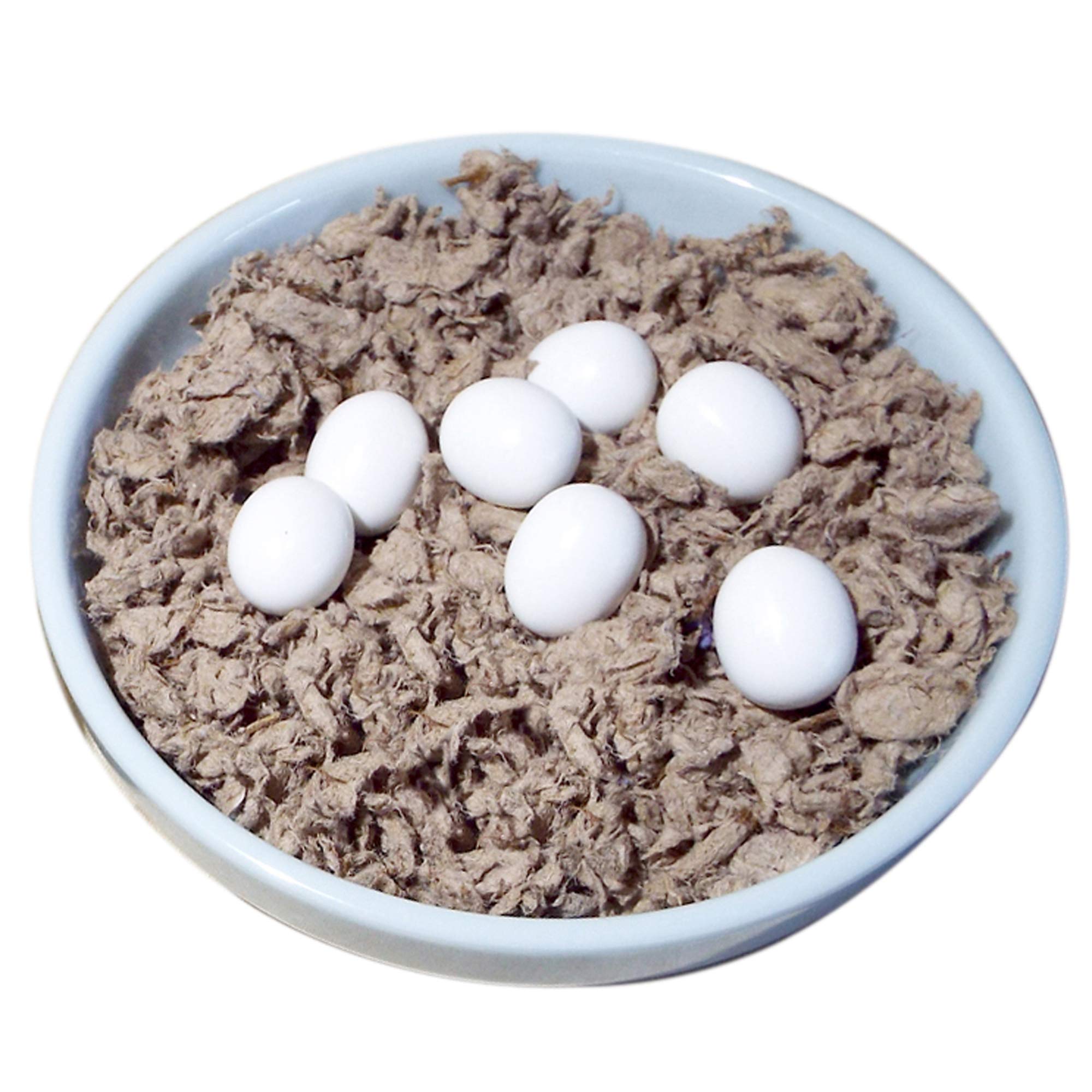 Buy DummyEggs Stop Laying! USA Lovebird Plastic White Solid Realistic