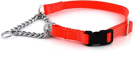 border collie pyrenees