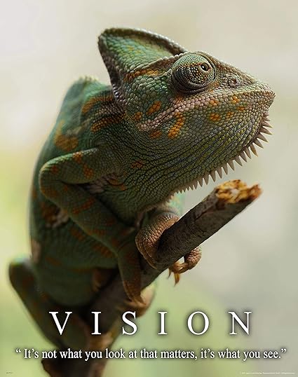 chameleon veterinarian near me