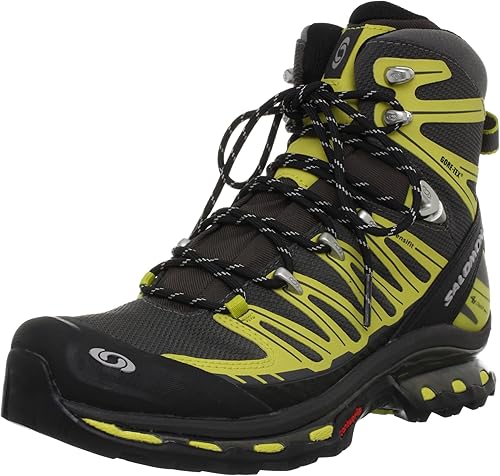 salomon cosmic 4d 2 gtx men's hiking boots