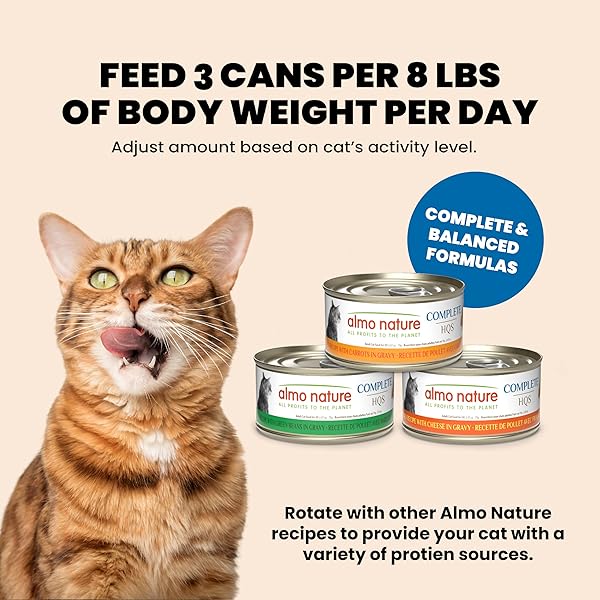 ALMO NATURE HQS COMPLETE CAT WET CAT FOOD MACKEREL RECIPE WITH SWEET POTATOES IN GRAVY – GRAIN-FREE CAT FOOD CANNED, 2.47 OZ (PACK OF 12)