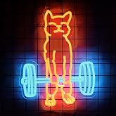 Cat Do Gym Neon Sign for Home Gym Decor Cat Lifting Weight Funny Lighting Sign LED Wall Art for Men Cave Garage Decor 12.6 *