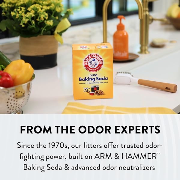ARM & HAMMER HARDBALL LIGHTWEIGHT 5-IN-1 CLUMPING CAT LITTER, 24/7 ODOR CONTROL, LONG-LASTING NON-CLAY & 99.9% DUST-FREE MULTI-CAT FORMULA, GARDEN BLOOM SCENT, 14.5 LBS
