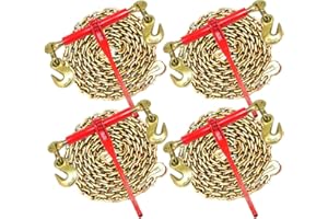 ADVANTAGE RIGGING 3/8" Transport Package - (4) Ratchet Binders - (4) 20' Foot Chains