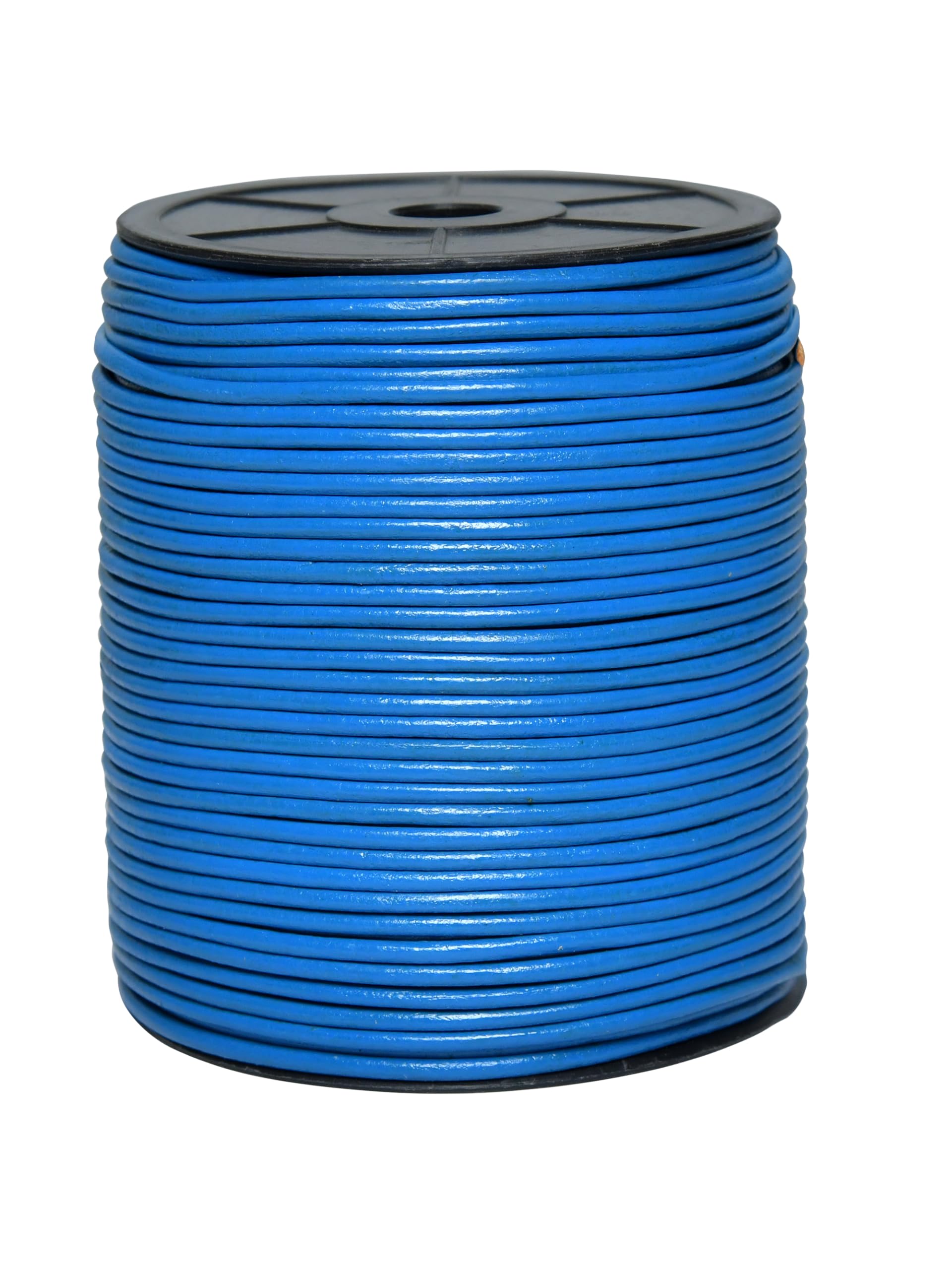 Cords Essentials Round Genuine Leather String Cord, Rope for Jewelry Making, Necklaces, Bracelets, Kumihimo Braiding, Wraps, Crafts and Hobby Projects (Blue, 3.0 MM)