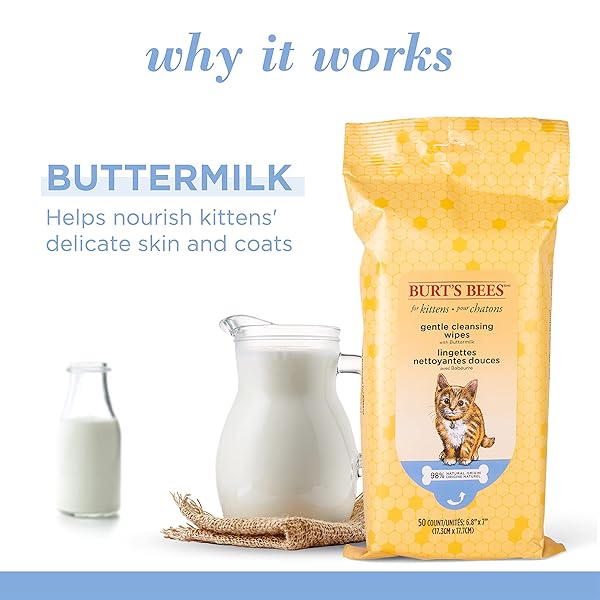 BURT’S BEES FOR PETS KITTEN GROOMING WIPES WITH BUTTERMILK AND HONEY, WATERLESS CAT BATH WIPES FOR FACE, PAWS, TAIL AND COAT CLEANING, GENTLE BATH ALTERNATIVE FOR INDOOR FELINES, 50 COUNT