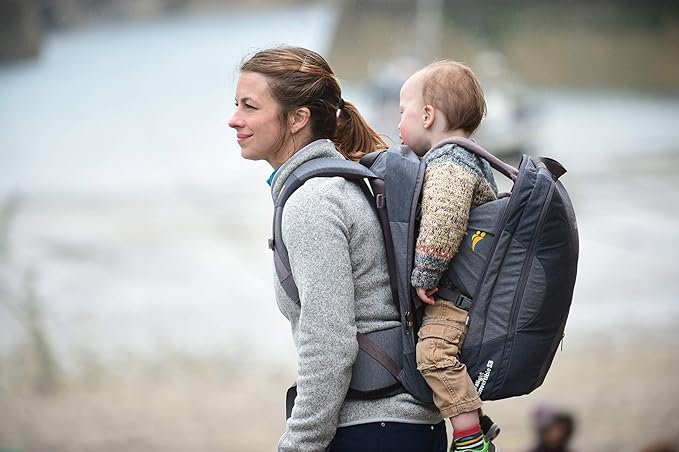 littlelife traveller