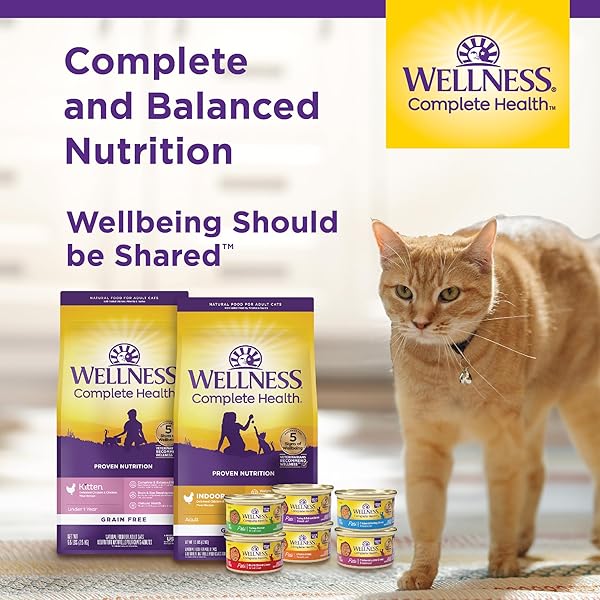 WELLNESS COMPLETE HEALTH GRAVY ADULT WET CAT FOOD, NATURAL, PROTEIN-RICH, GRAIN FREE, 3 OUNCE, 12 PACK, (TURKEY DINNER)