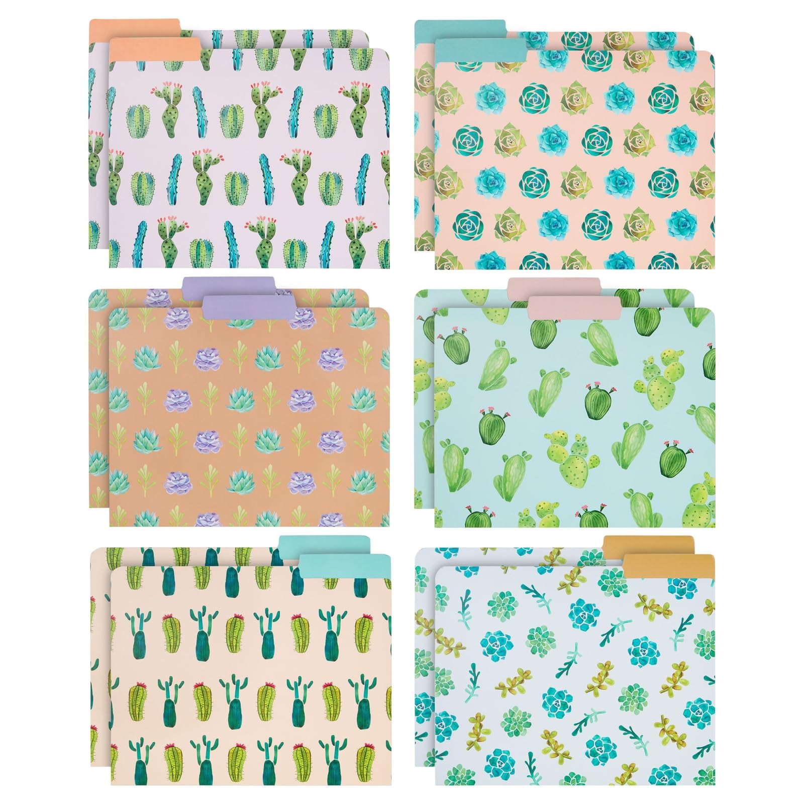 Photo 1 of 12 Pack Succulent Decorative File Folders, 1/3 Cut Tab, Letter Size, 6 Cactus Designs (9.5 x 11.5 in)
