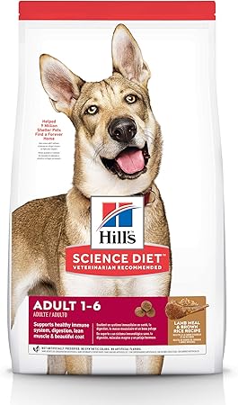 hills adult dog