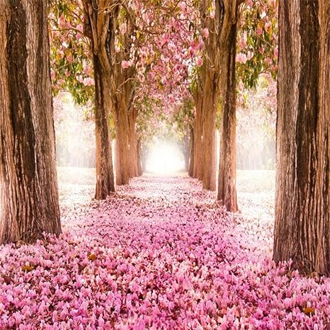 Amazoncom Aofoto 8x8ft Spring Cherry Blossoms Backdrop Sweet
