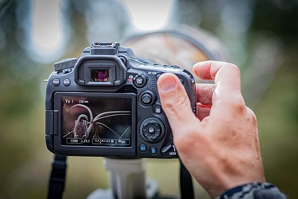 Canon EOS 90D Kit EF S 18 55 IS STM Spiegelreflexcamera lens