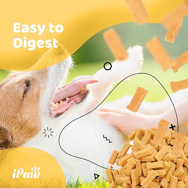 IPAW DOG TREATS FOR PUPPY TRAINING, ALL NATURAL HUMAN GRADE DOG TREAT, HYPOALLERGENIC, EASY TO DIGEST (CHICKEN AND CHEESE BITES)