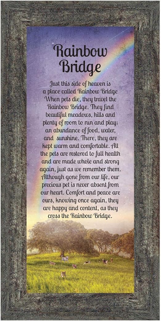 rainbow bridge gifts dogs