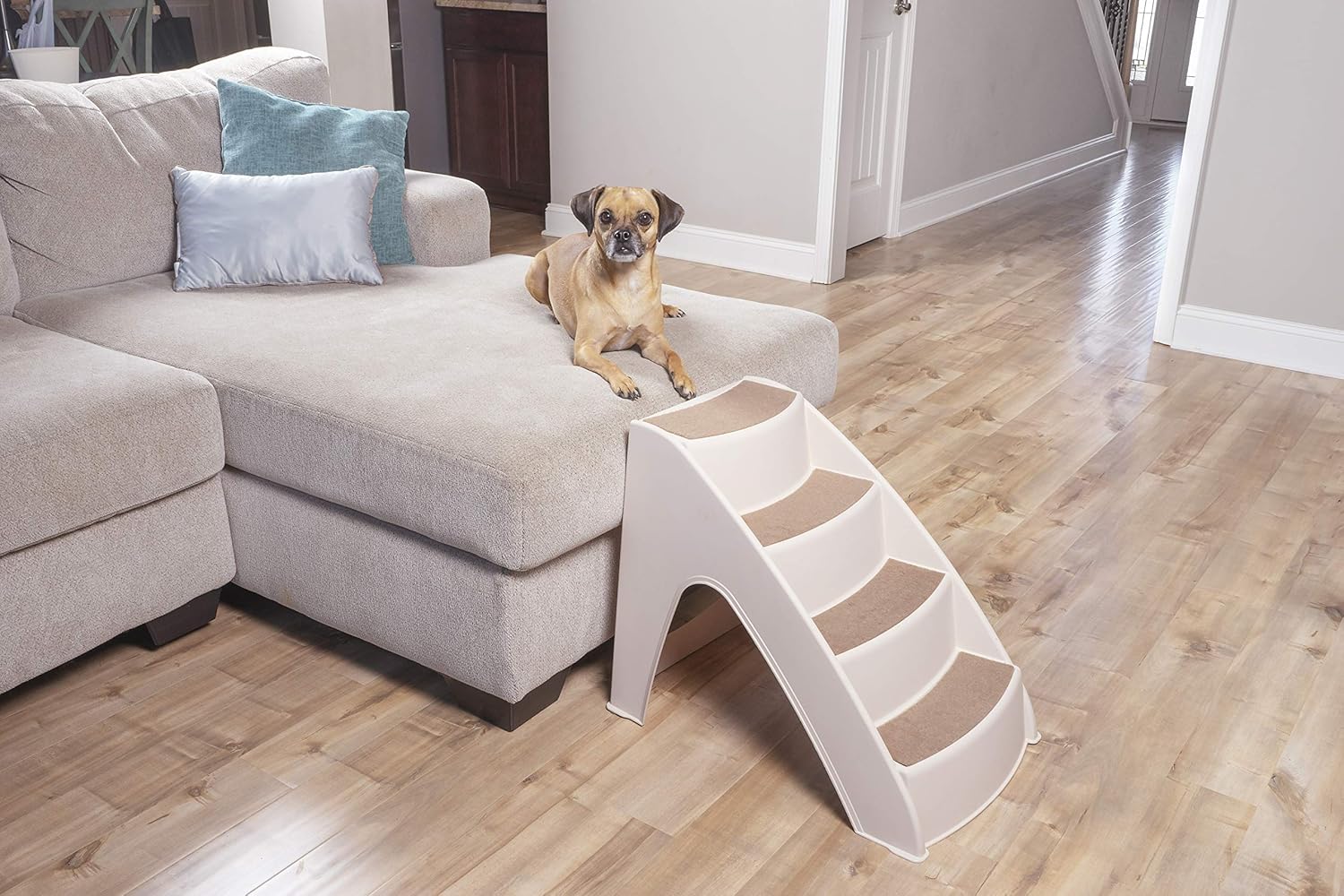 PetSafe CozyUp Pet Steps - PupSTEP Dog and Cat Stairs - Lightweight Durable Plastic Frame Supports up to 70 lb - Side Rails and Non-slip Feet Provide Added Security : Pet Supplies