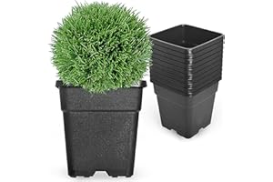 RainMan S 10-Pack 1 Gallon Square Planter Nursery Pots, Flower Plant Container Injection Molded Plastic Nursery Pots Gardening Pots for Indoor Outdoor Vegetables, Succulents, Black