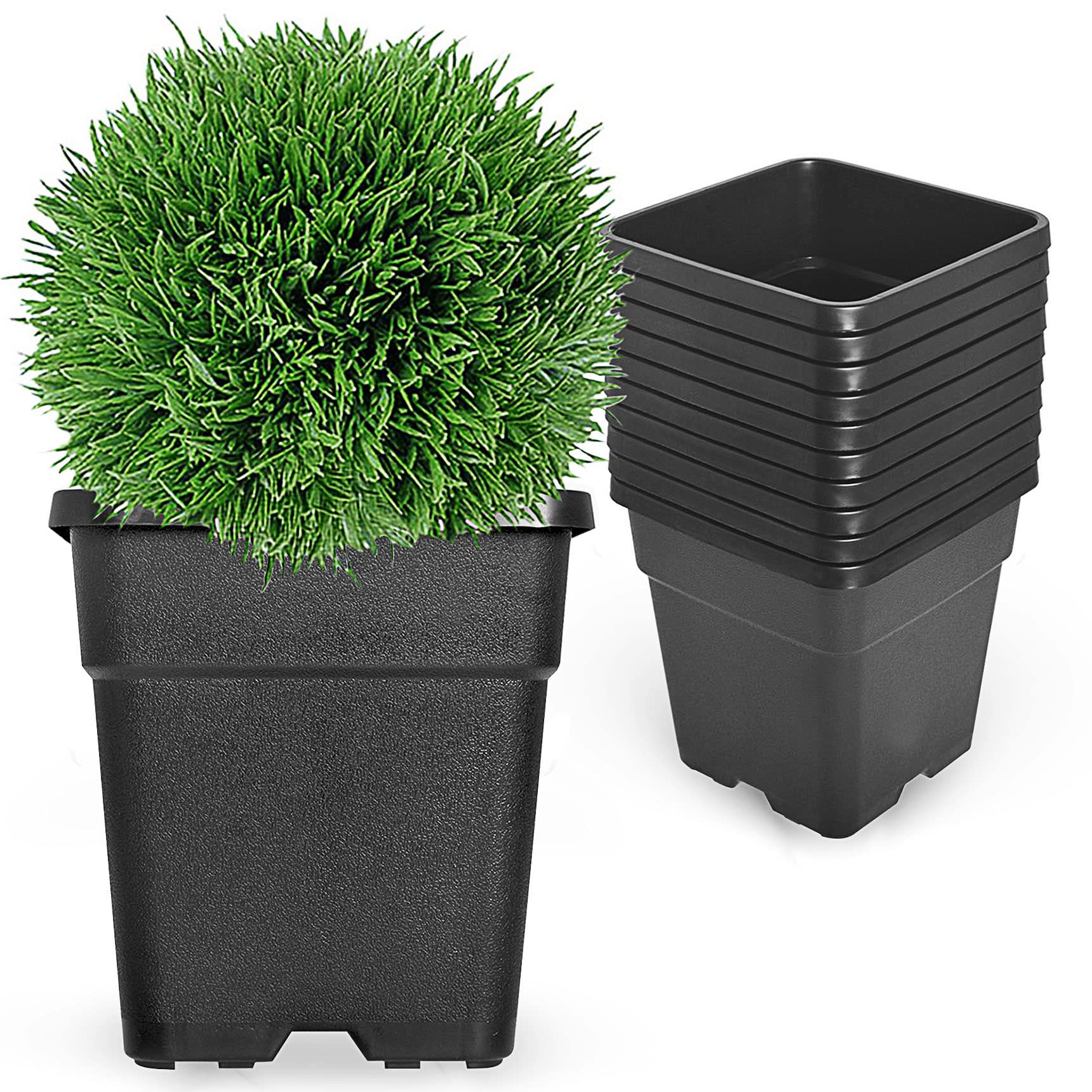Photo 1 of RainMan S 10-Pack 1 Gallon Square Planter Nursery Pots, Flower Plant Container Injection Molded Plastic Nursery Pots Gardening for Indoor Outdoor Vegetables, Succulents, Black