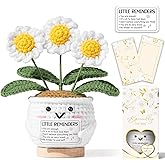 Inspirational Gift for Women Positive Daisy Flower Emotional Support Crochet, Little Reminders You Are Enough, Appreciation Thank You Goodbye Farewell Valentines Day Gift for Coworker Employee Teacher