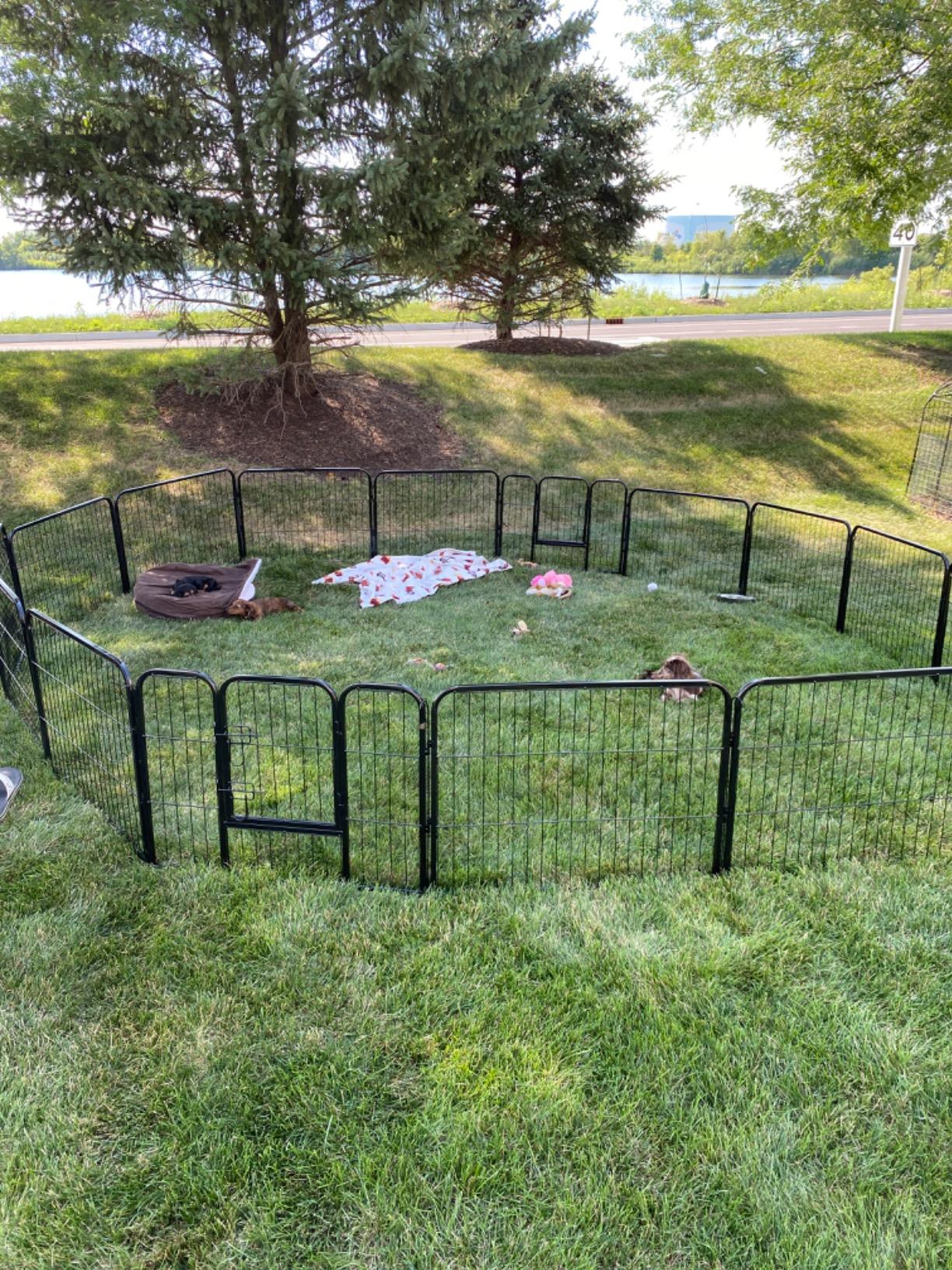 Dog Pen Indoor 40 inches Tall, Dog Fence Playpens Exercise Pen for Large Dogs Ou