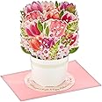 Hallmark Paper Wonder Mother's Day Pop Up Card (Bouquet of Tulips)