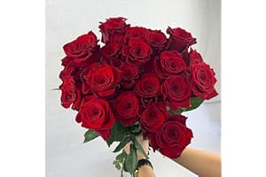 GREENCHOICEFLOWERS Fresh Cut 24 Red Roses - Fresh from the Farm Red Rose Bouquet – Hand-Selected Long-Lasting, Gift and Home Decor Perfect Fresh Flowers |20" Long Stems No Vase-2 Dozen | Flowers Gift