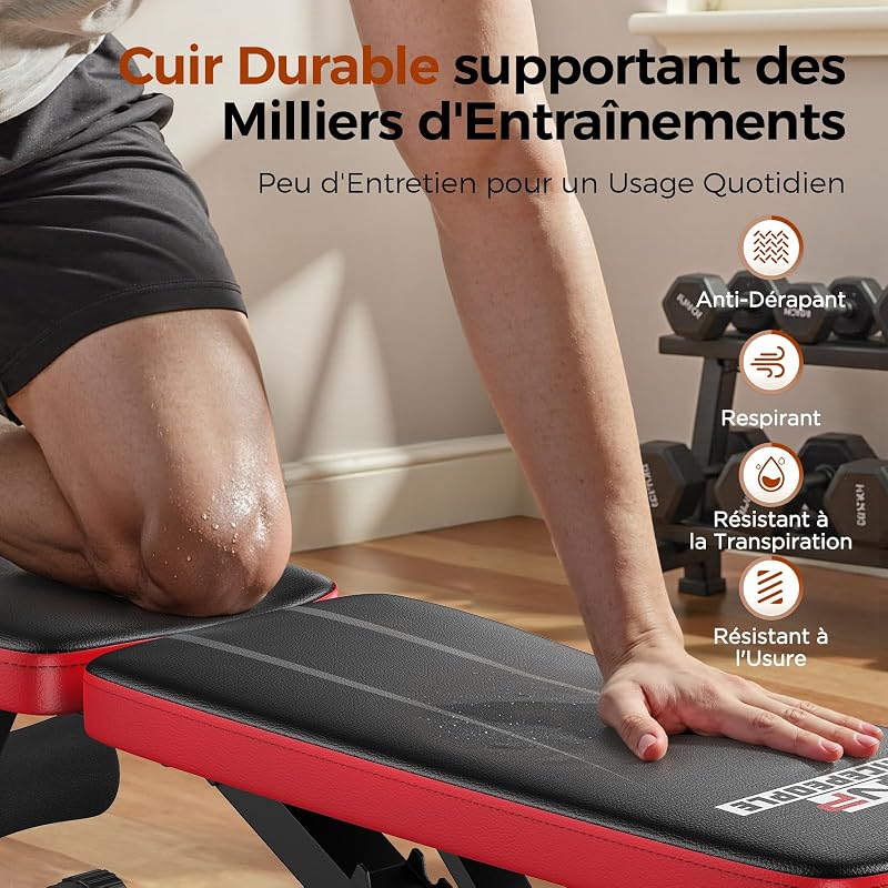 Banc de musculation réglable pour salle de sport à la maison, charge maximale de 300 kg, banc d’entraînement avec 8 positions de dossier pour poitrine, épaules et bras