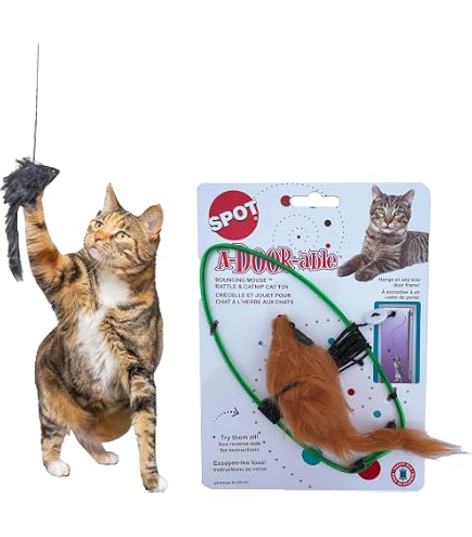 Amazon.com : A-Door-Able Bouncing Mouse Rattle and Catnip Toy